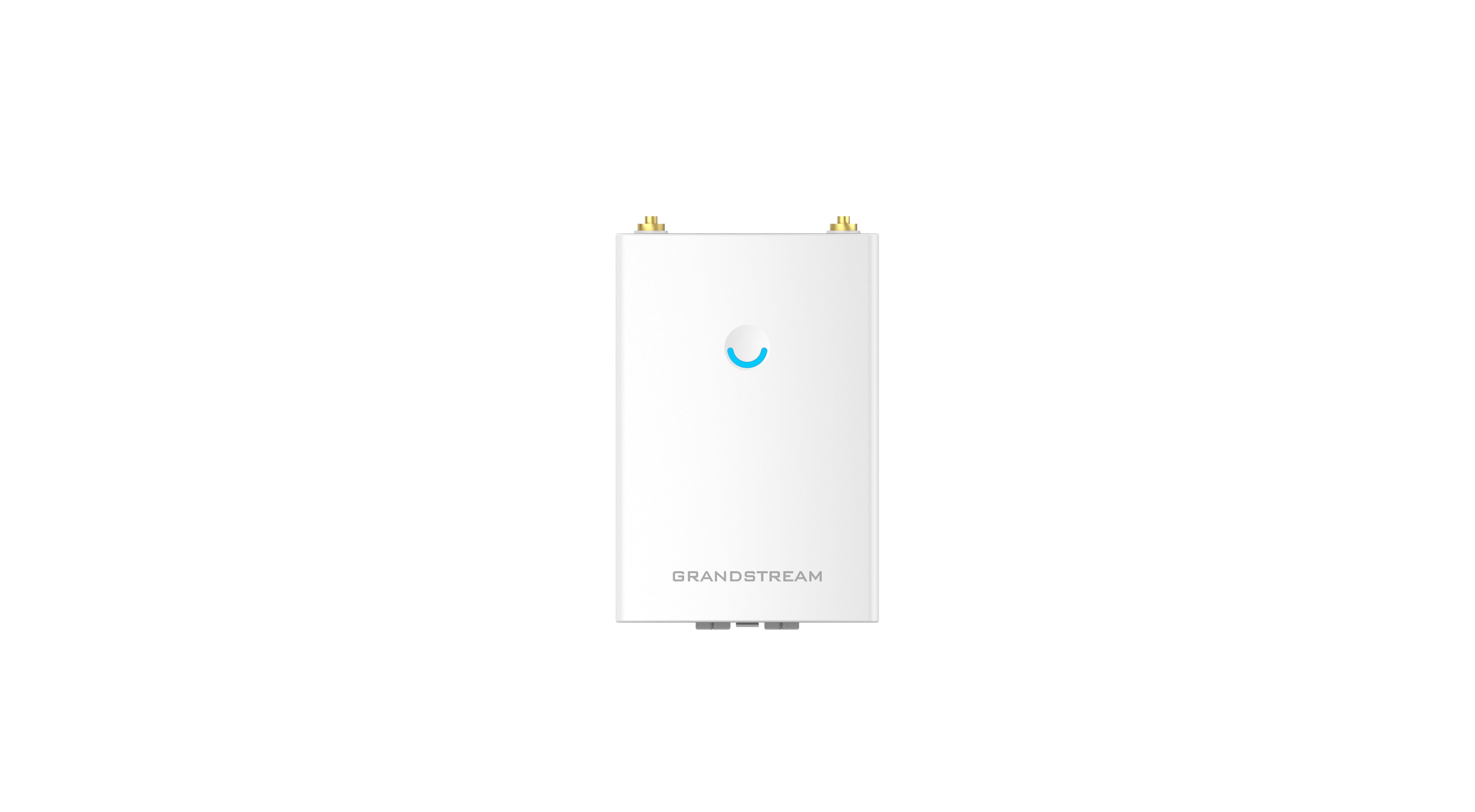 Grandstream Enterprise WiFi 5 Long Range Outdoor  AP | GWN7605LR